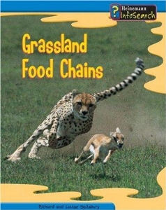 Grassland food chains