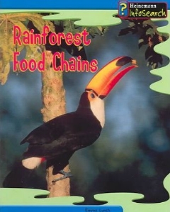Rainforest food chains