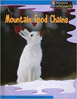 Mountain food chains